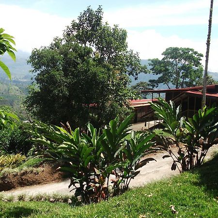 Green Mountain And Lodge Turrialba Bagian luar foto