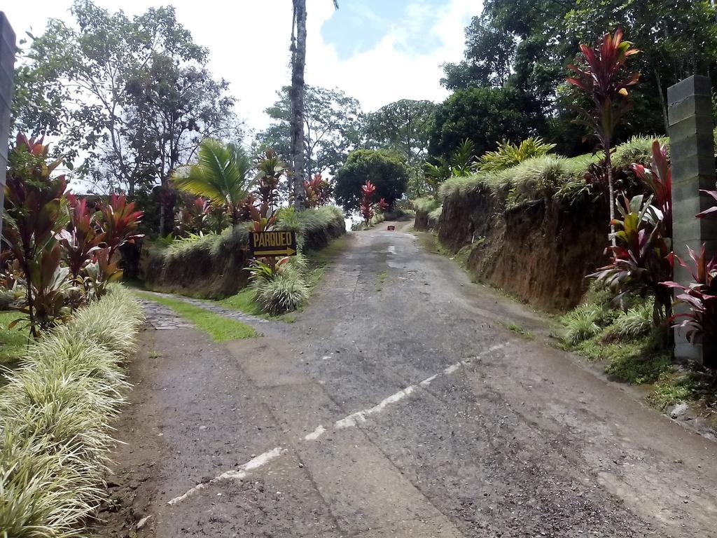 Green Mountain And Lodge Turrialba Ruang foto