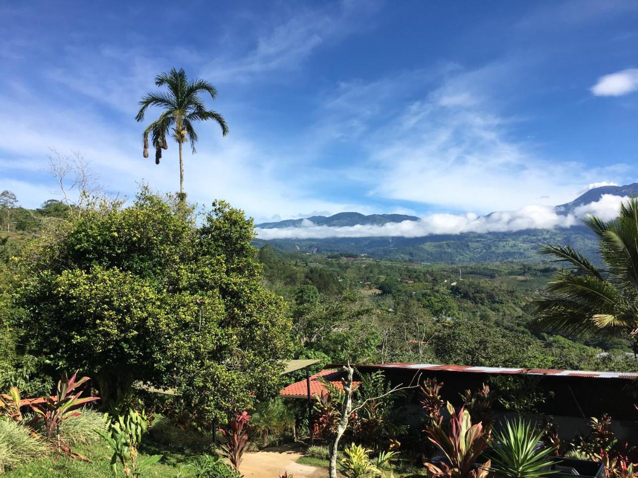 Green Mountain And Lodge Turrialba Bagian luar foto