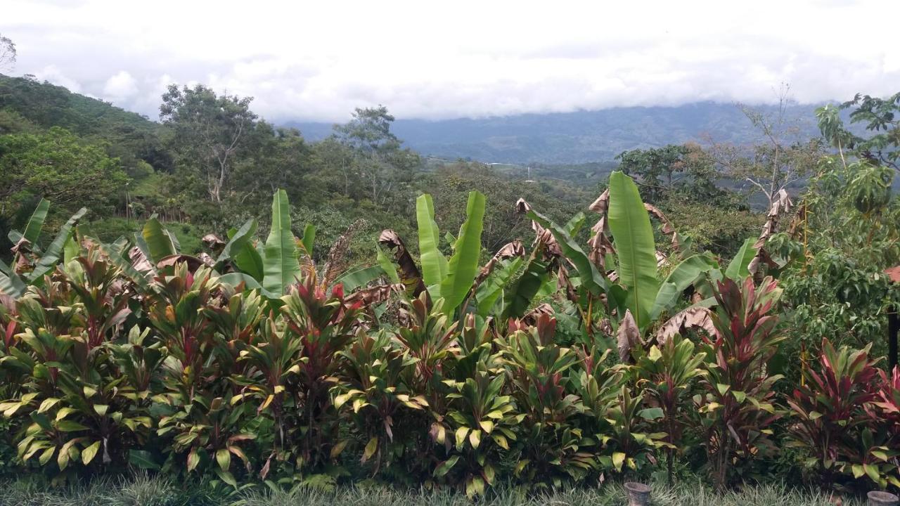 Green Mountain And Lodge Turrialba Bagian luar foto