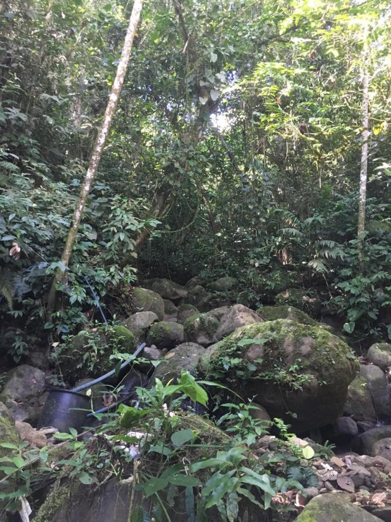 Green Mountain And Lodge Turrialba Bagian luar foto