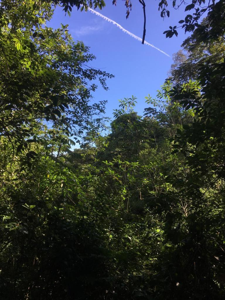 Green Mountain And Lodge Turrialba Bagian luar foto