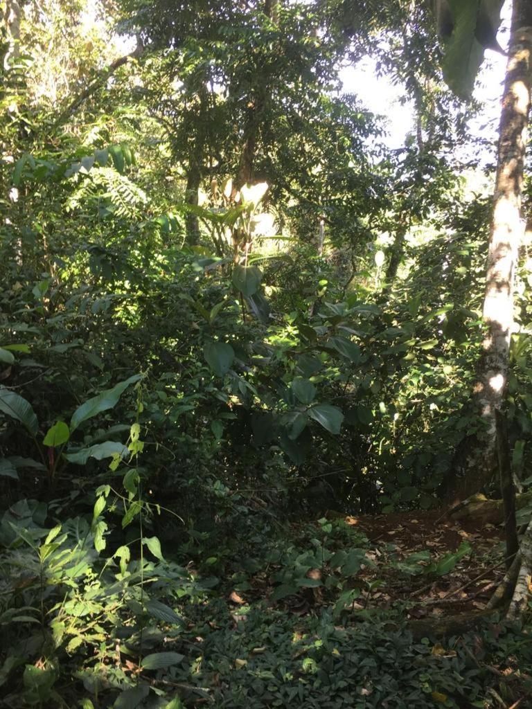 Green Mountain And Lodge Turrialba Bagian luar foto