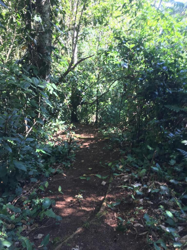 Green Mountain And Lodge Turrialba Bagian luar foto